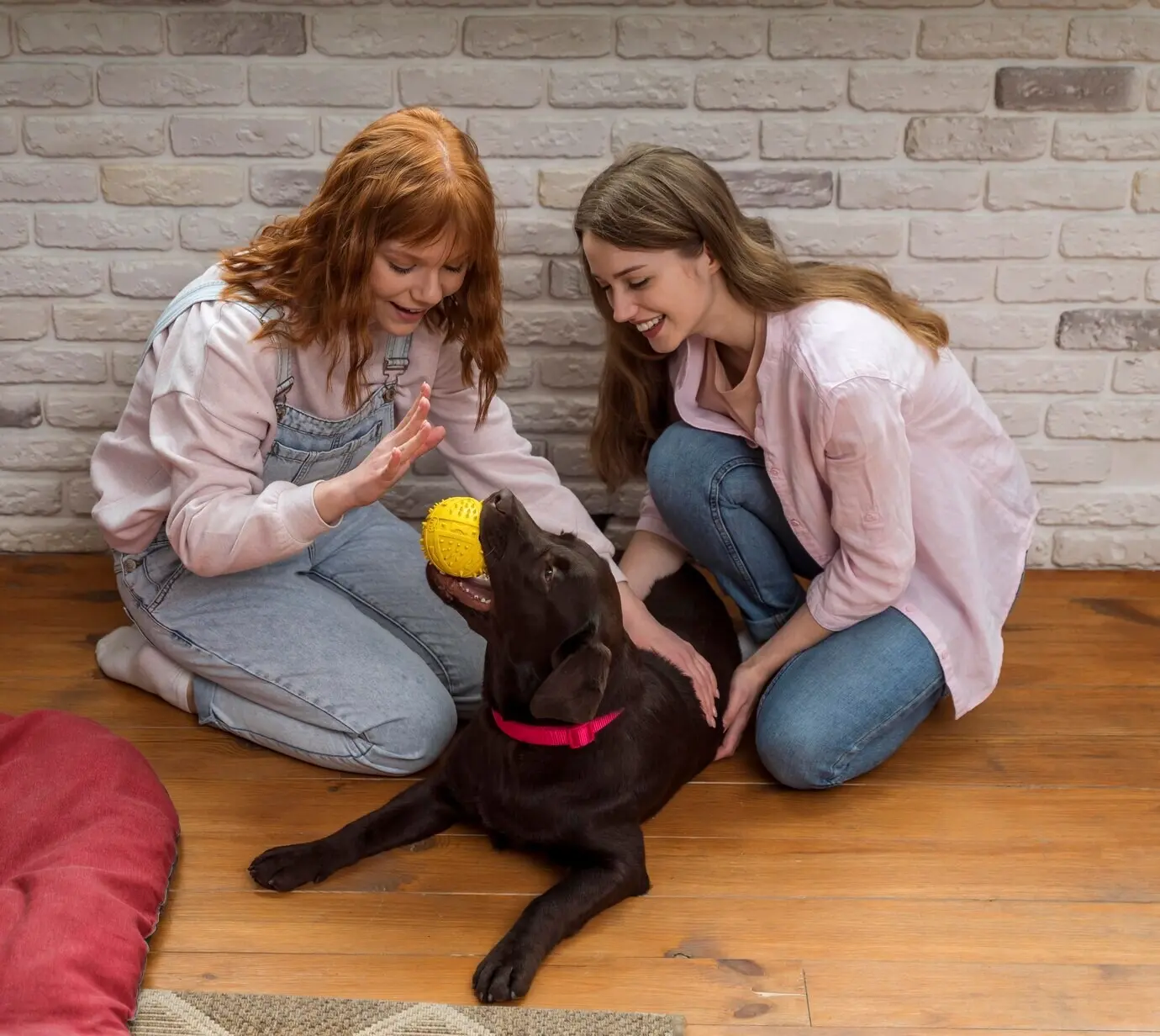 Full shot of happy women and a dog on the floor