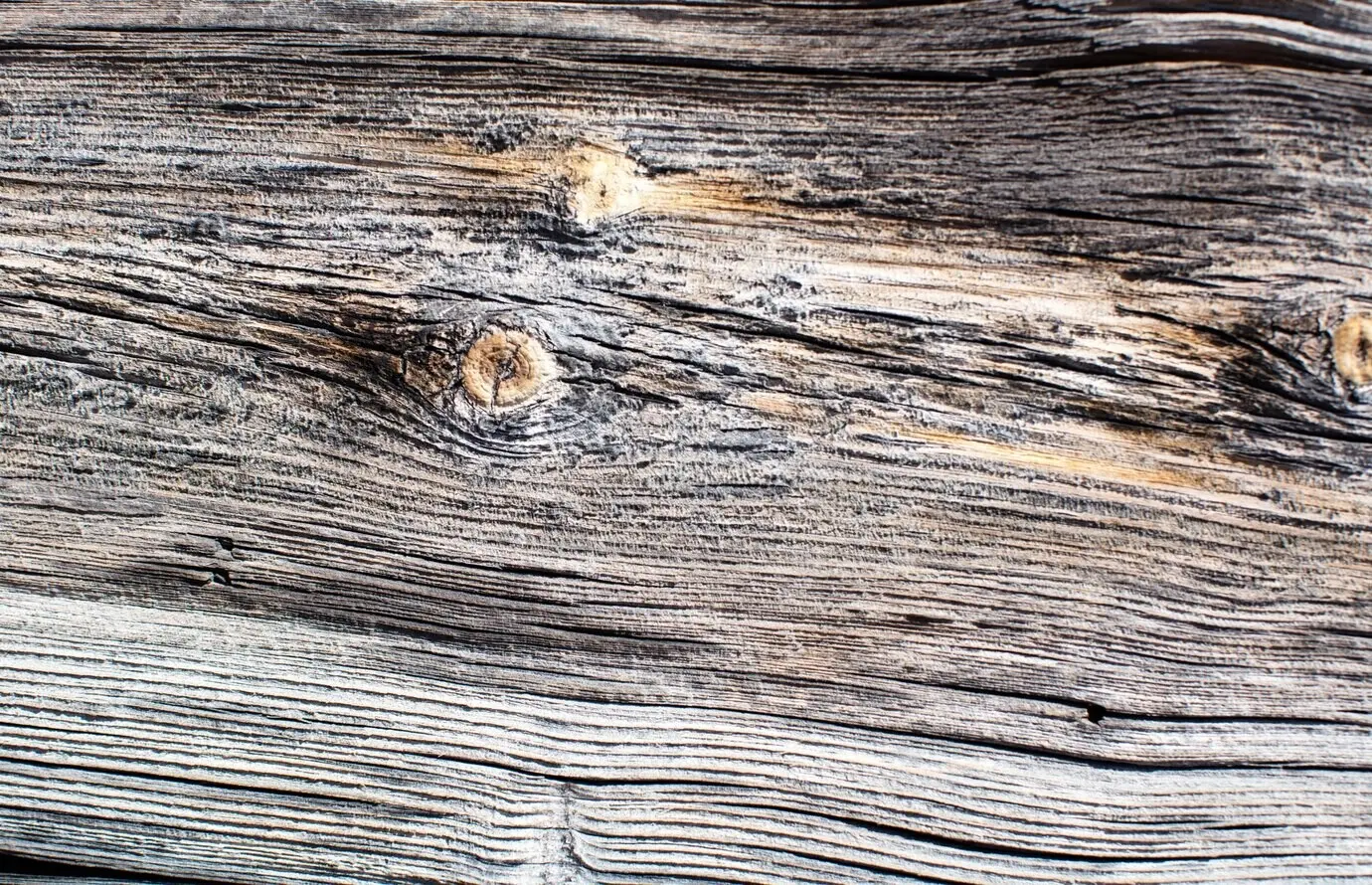 Warm wooden texture